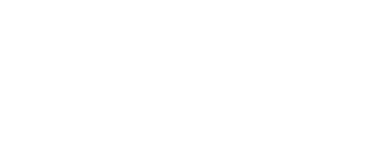 Safe and Secured Ltd Logo